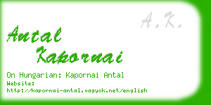 antal kapornai business card